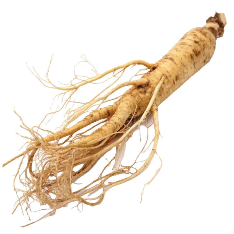 Ginseng